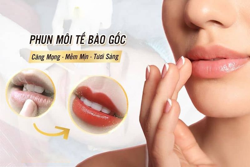 Kỹ thuật phun môi tế bào gốc