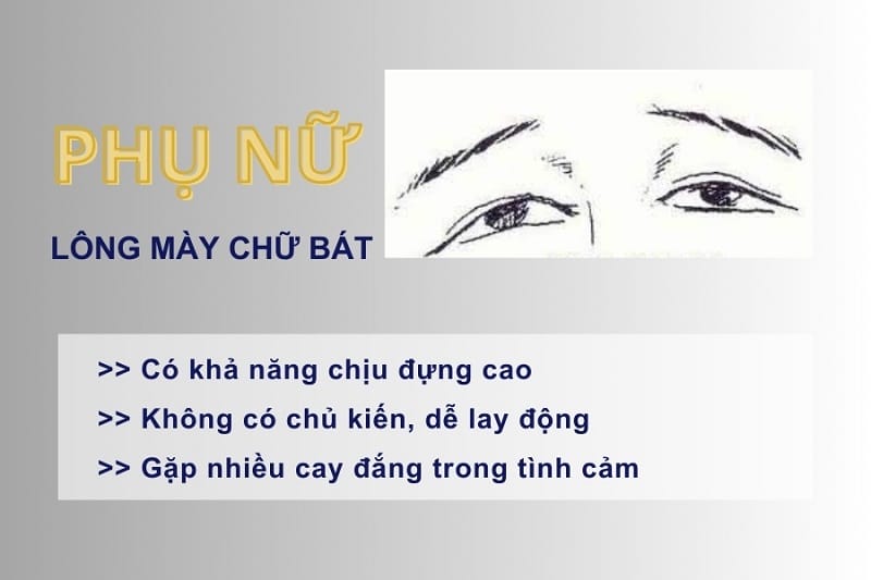 Nữ giới lông mày hình chữ bát là người ích kỉ, sự nghiệp không thuận lợi